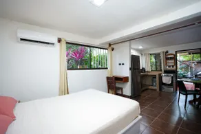 Living Sámara | Coral Studio - Image 4