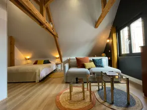 Charming and Cozy Air-Conditioned Loft in Alsace - Image 2