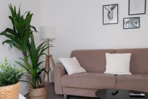 Casa aka - Image 5