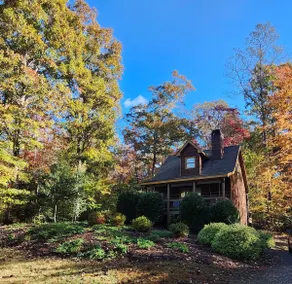 Cozy Ellijay Cabin-close to hiking, Red apple barn, waterfalls and wineries! - Image 3