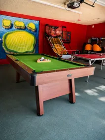 Frisconian: Game Room+Patio+Firepit- Frisco - Image 2