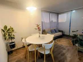 Executive Apartment in Concepción Centro - Image 2