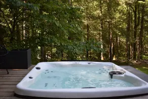 Mossybrook Hideout: Dog Friendly Oasis in High Falls w/ Hot Tub - Image 3