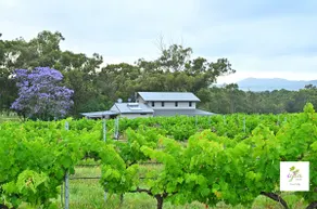 iyla Estate-Your exclusive Vineyard & Cottage stay - Image 3
