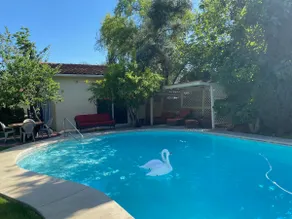 Hidden Oasis. Pool and Garden. Patios. BBQ. - Image 4