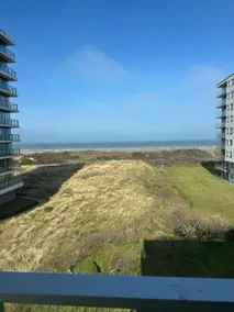 Breathtaking view of the dunes and the sea - Image 4