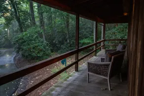 Dogwood Den- Cozy Mountain Cabin - Image 4