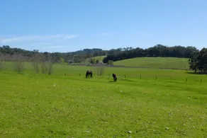Country retreat*Farm animals*Wine Region*Open fire - Image 5