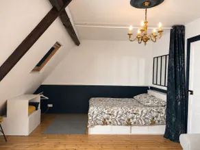 The Appart'Mans, atypical, luxurious and in a good location - Image 2