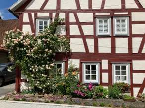 Rhöner half-timbered house with special charm - Image 4