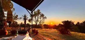 Podere San Luigi - a real Tuscan experience - Image 4