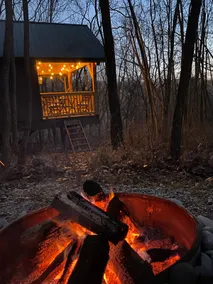 Exquisite Mountain Cabin near Eureka Springs - Image 5