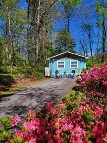 Cozy, Sparkling Clean Cottage! Excellent Location! - Image 2