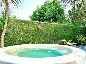 Casa Paz - Image 3