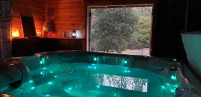 River Front Home on 6+ Acres - Hot tub/Dog Friendly/Game Room - Image 4