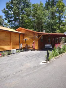 Sweet Bear/ Lowest Nightly Rates/ Dollywood - Image 3