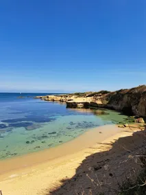 paradise by the sea - Image 2