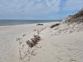 5 person holiday home in Hvide Sande - Image 2