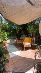 Charming 1923 Historical 2BR/1BA Great Location! - Image 4