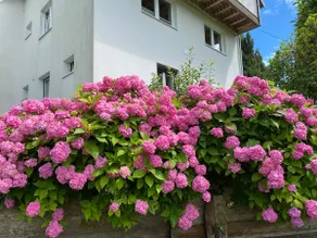 Vacation home Untersbergblick - Image 4