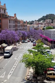 Málaga Center! 140m² and private parking! - Image 2