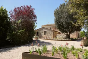 Podere Il Moro agritourism in the nature of Siena - Image 3