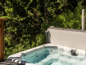 Midcentury Cabin with Private Hot Tub - Image 2