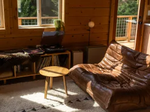 Midcentury Cabin with Private Hot Tub - Image 5