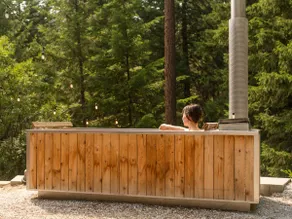 Midcentury Cabin with Private Hot Tub - Image 3