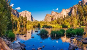 Serenity near Yosemite “Mossy Oaks Cottage” - Image 4