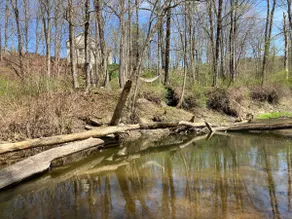 Chatham on the Creek. Pet friendly. F Trump - Image 5