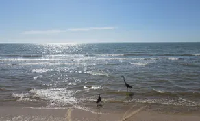 Kc-1 - Beachfront - Walk To Malecon - Image 2
