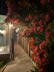 Boho Garden Studio (w/ Chickens) - Near Universal - Image 5