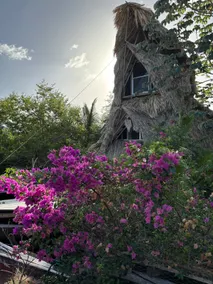 Casa Iguana, by Jungla Bacalar. Walking distance to the lagoon! - Image 3