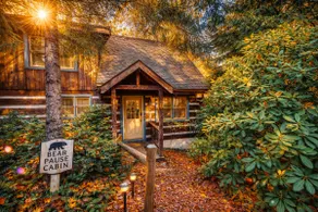 Cabin + Hot Tub + Game Room + EV Charger+ Lakeview - Image 2