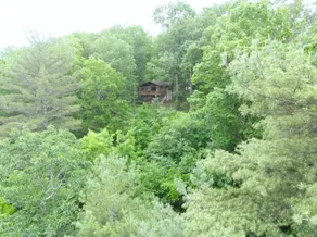 Modern Eclectic Treetop Cabin ~ Hottub ~ Romantic - Image 4