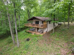 Modern Eclectic Treetop Cabin ~ Hottub ~ Romantic - Image 2