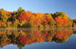 Year round cabin with the most beautiful views! - Image 4