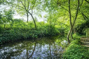 A delightful riverside cottage, fabulous location! - Image 2