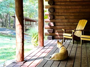 Private Log Cabin, Fiber WiFi, Lots of Wildlife! - Image 2