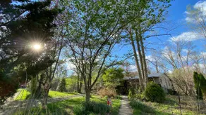Next to the NRG National park at this comfy home - Image 2