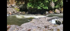 Forest Retreat on the River in Fall Creek - Image 3