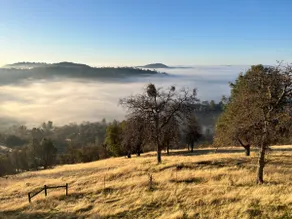 THE PEAKS @Mariposa:Amazing Views/Great Location! - Image 5