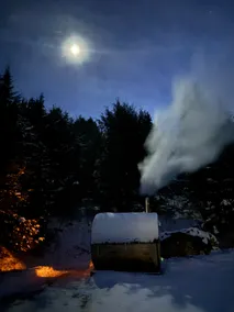 Stowe Mountain Views -Sauna, Sleeps 6- Private - Image 5