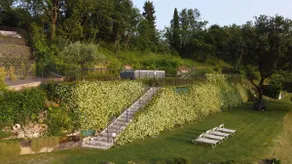Matteo's House - Image 4