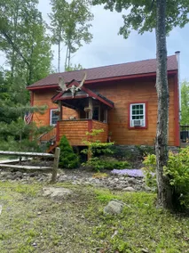 The Birches Cabin, at home in the woods! - Image 2