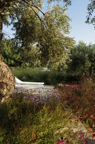 Apartment in the olive grove by the sea - Image 3