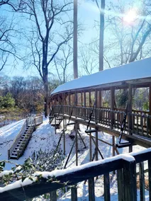 *Riverfront* Cottage with Private Bridge! - Image 2