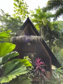 Buena Onda - Bungalow Lora few steps to the beach - Image 3