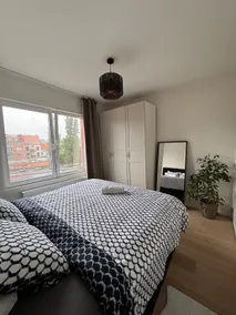 Urban Jungle w/ King Bed near Centre w/ Netflix - Image 3
